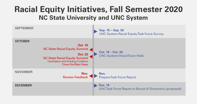 Racial Equity Initiatives, Fall Semester 2020