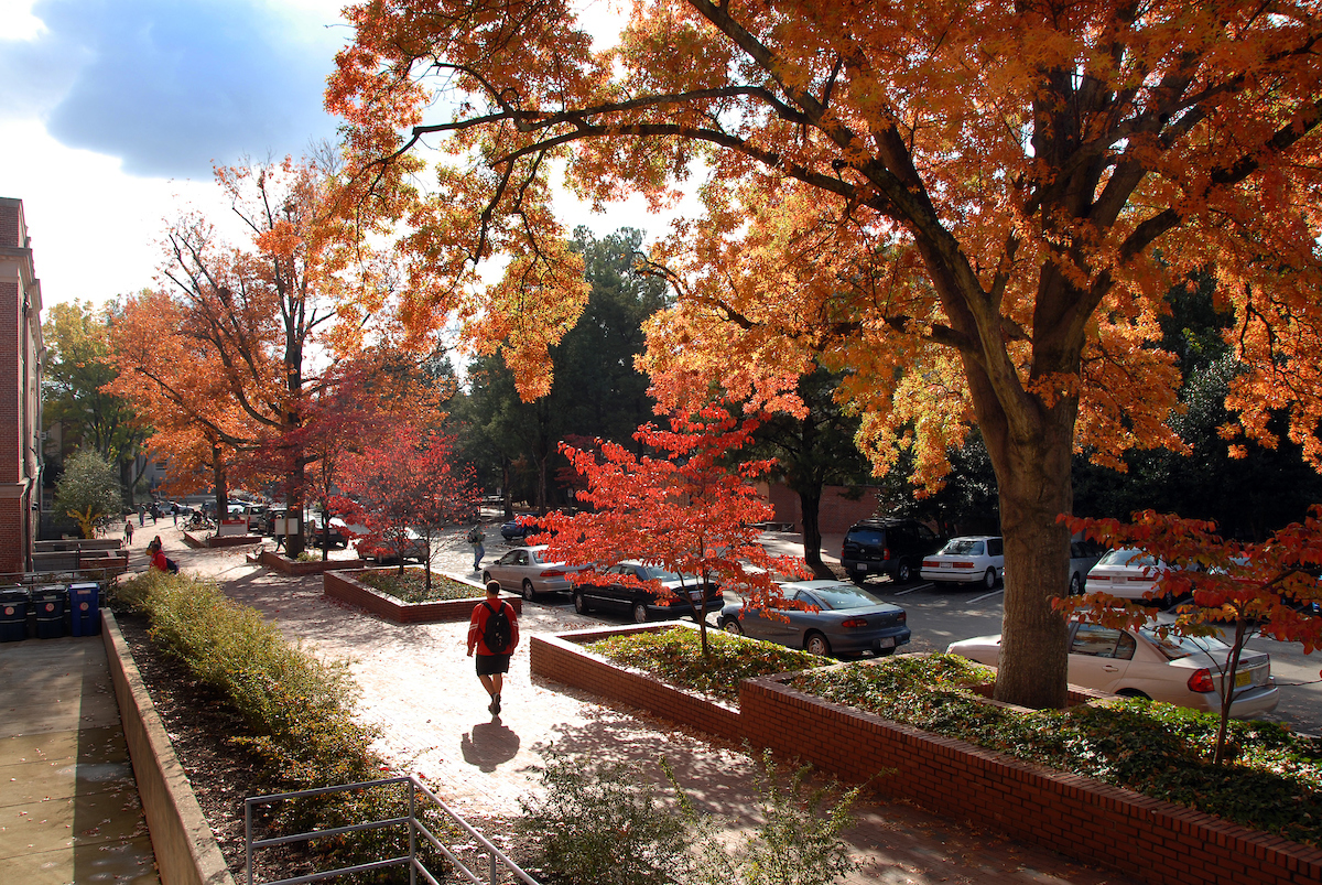 Campus in fall with foliage