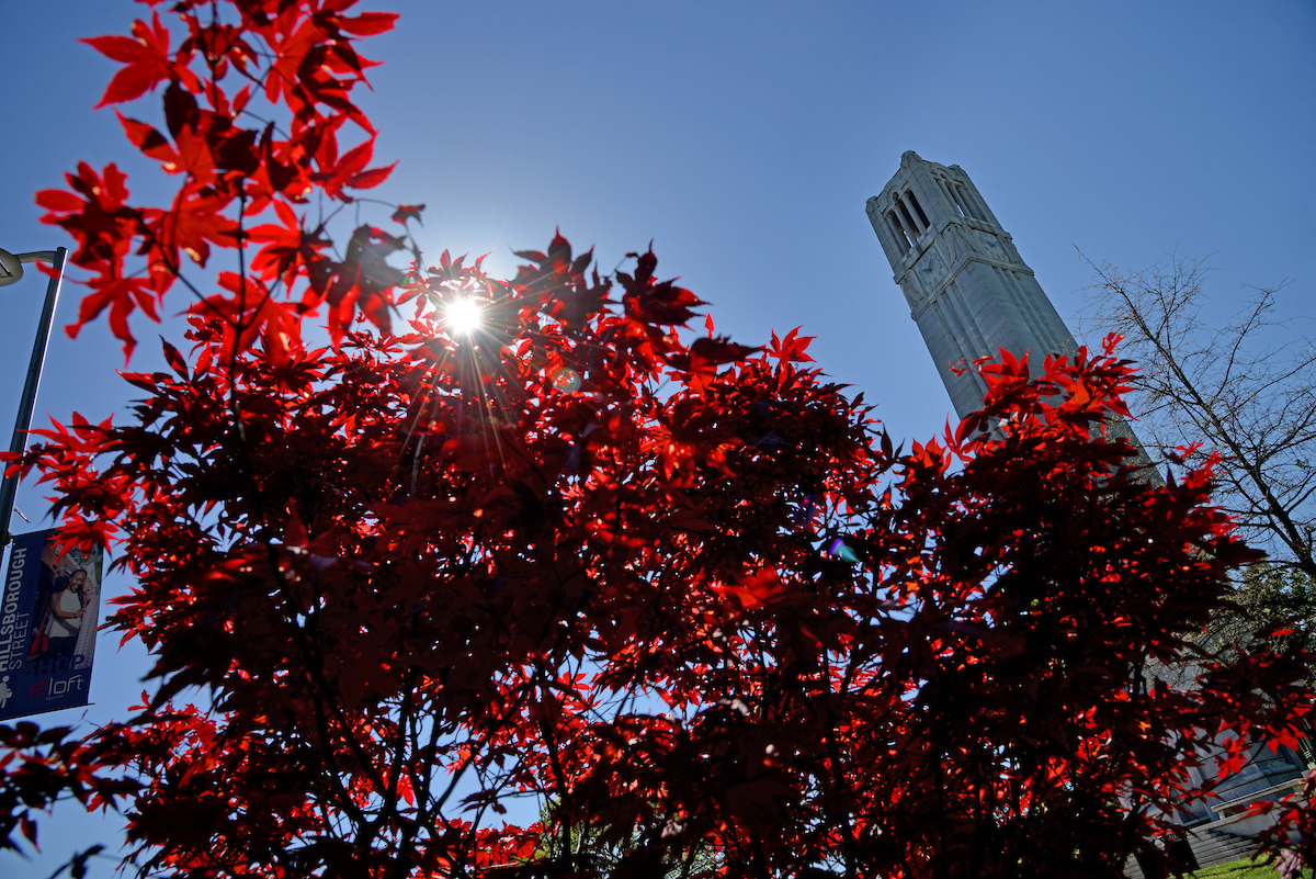 NC State Belltower