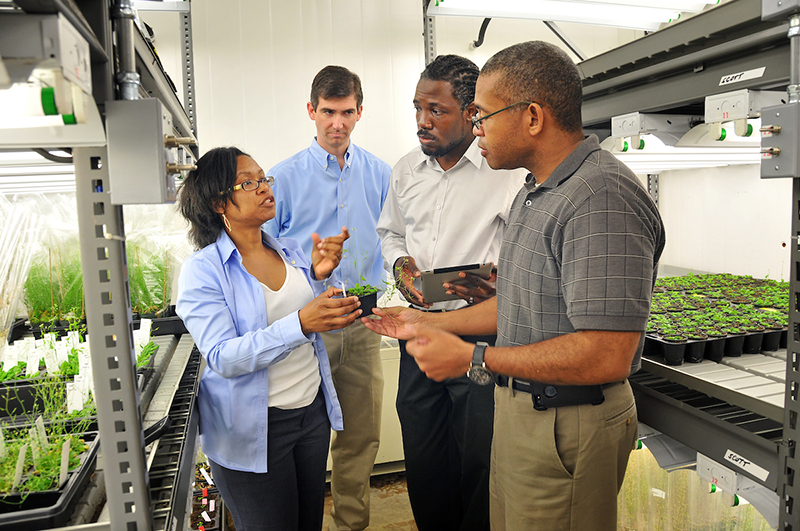 Diverse faculty