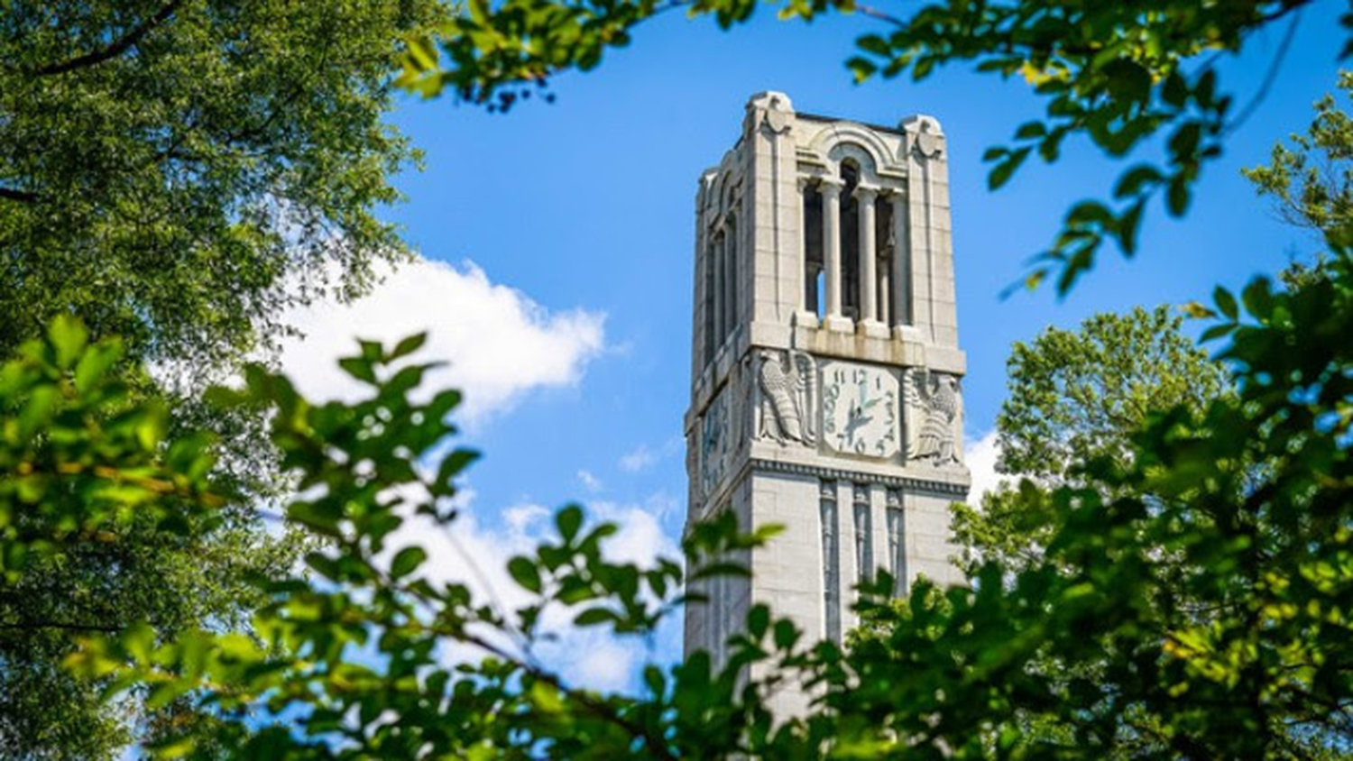 NC State Belltower