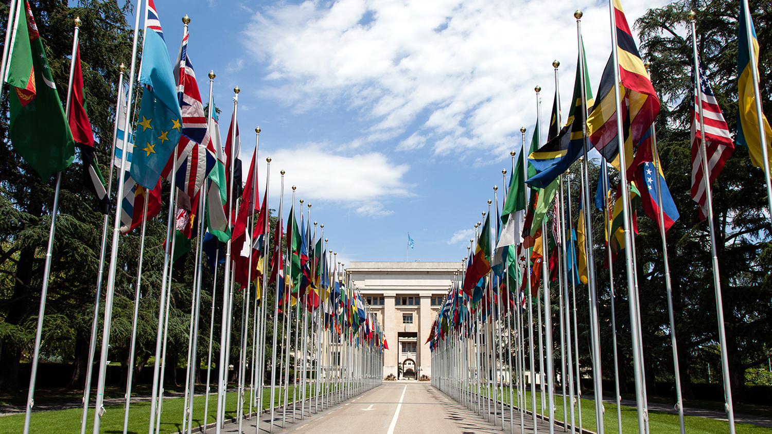 United Nations flags