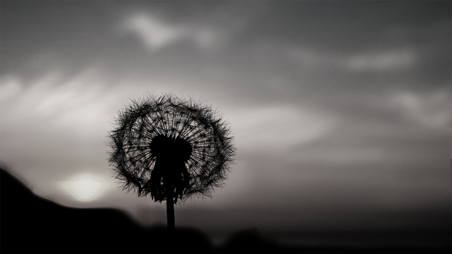 A dandelion silhouetted against a dark sky