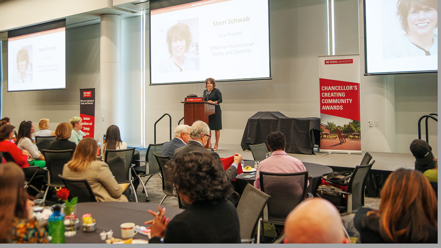 Vice Provost for Institutional Equity and Diversity, Sheri Schwab, recognized 16 award winners at the annual Recognizing Excellence in Diversity event.