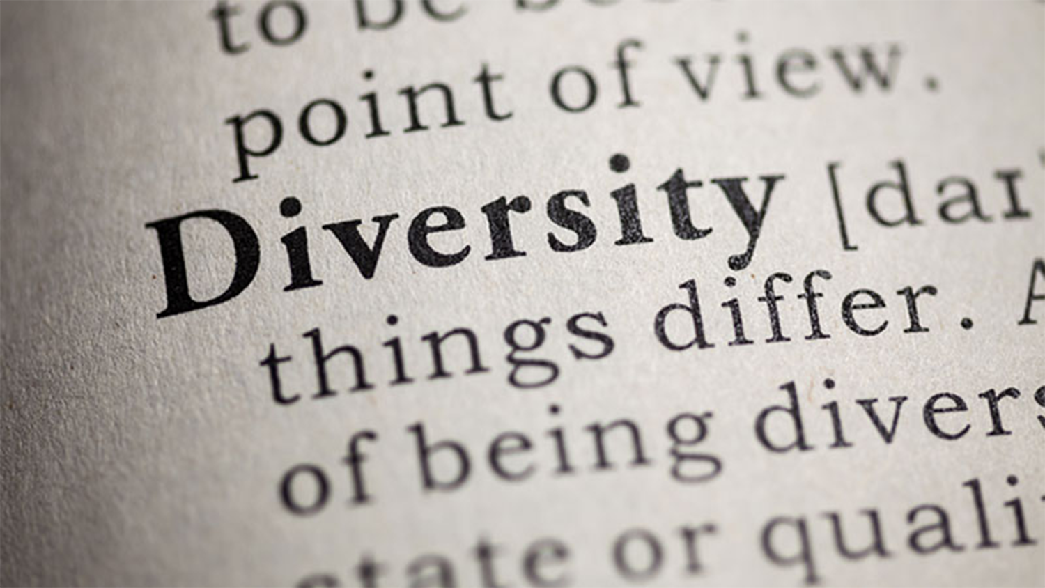 Diversity in the dictionary